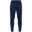 Afbeeldingen van Trainingsbroek Dynamic marine
